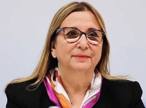 Sınır kapılarına "Randevulu Sanal Sıra Sistemi" geliyor