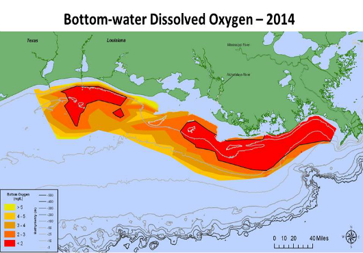 NOAA: Gulf of Mexico Dead Zone Still Significant