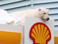 Shell'e Kuzey Kutbu için Obama'dan onay çıktı