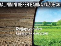 Mars Logistics, yılda 385 bin ağacı kurtarıyor