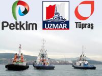 Nemrut Körfezi'nde kılavuzluk ve römorkaj rekabeti bitti