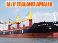 M/V ZEALAND AMALIA, Kolin Şirketler Grubu'na satıldı