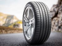 De Rooy, Dakar Şampiyonluğu için yine “Goodyear” dedi