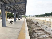 Samsun-Sivas tren hattı 1 milyar ton taşımaya aday