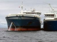 Gemiden gemiye ilk LNG yakıt ikmali gerçekleşti