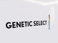 DNA’nıza göre otomobiliniz şekillenecek!