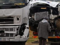 Tekirdağ'da TIR önüne geleni biçti