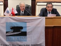 Limancılar, kılavuzluk ve römorkaj yönetmeliğini mahkemeye taşıyor