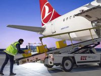 Turkish Cargo, sarayın eserlerini Japonya'ya taşıdı