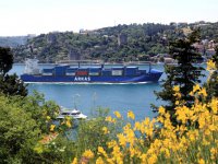 Arkas Line’dan Cezayir’e Yeni Servis