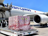 Turkish Cargo, global kargo pazarında büyüyor