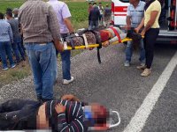 TIR ve minibüs çarpıştı: Katliam gibi kazada 6 ölü var