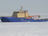 Rosatom, "denizin lideri" olmak için 7 milyar $ harcayacak