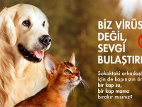 EKOL'den korona günlerinde "hayvanları unutmayın" çağrısı