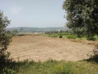 Dilovası'nda kalan son yeşillik alana TIR parkı