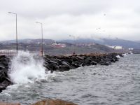Marmara'da lodos alarmı: 103 sefer iptal!